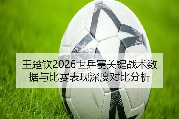 王楚钦2026世乒赛关键战术数据与比赛表现深度对比分析