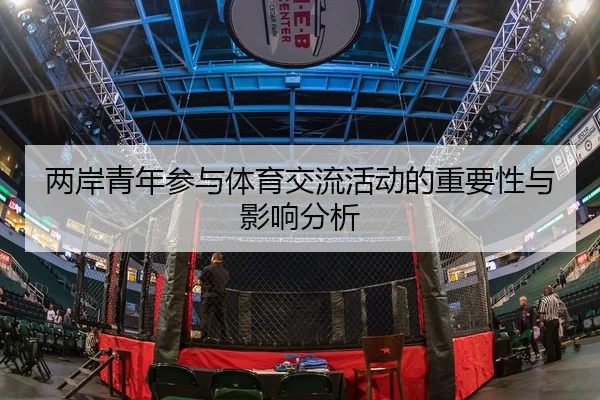两岸青年参与体育交流活动的重要性与影响分析